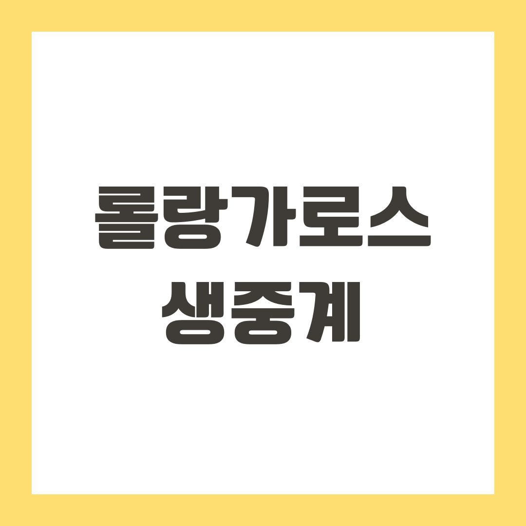 롤랑가로스 생중계