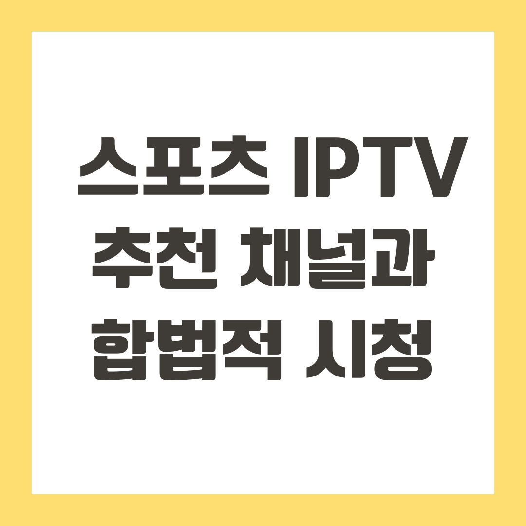 스포츠 IPTV 추천 채널과 합법적 시청