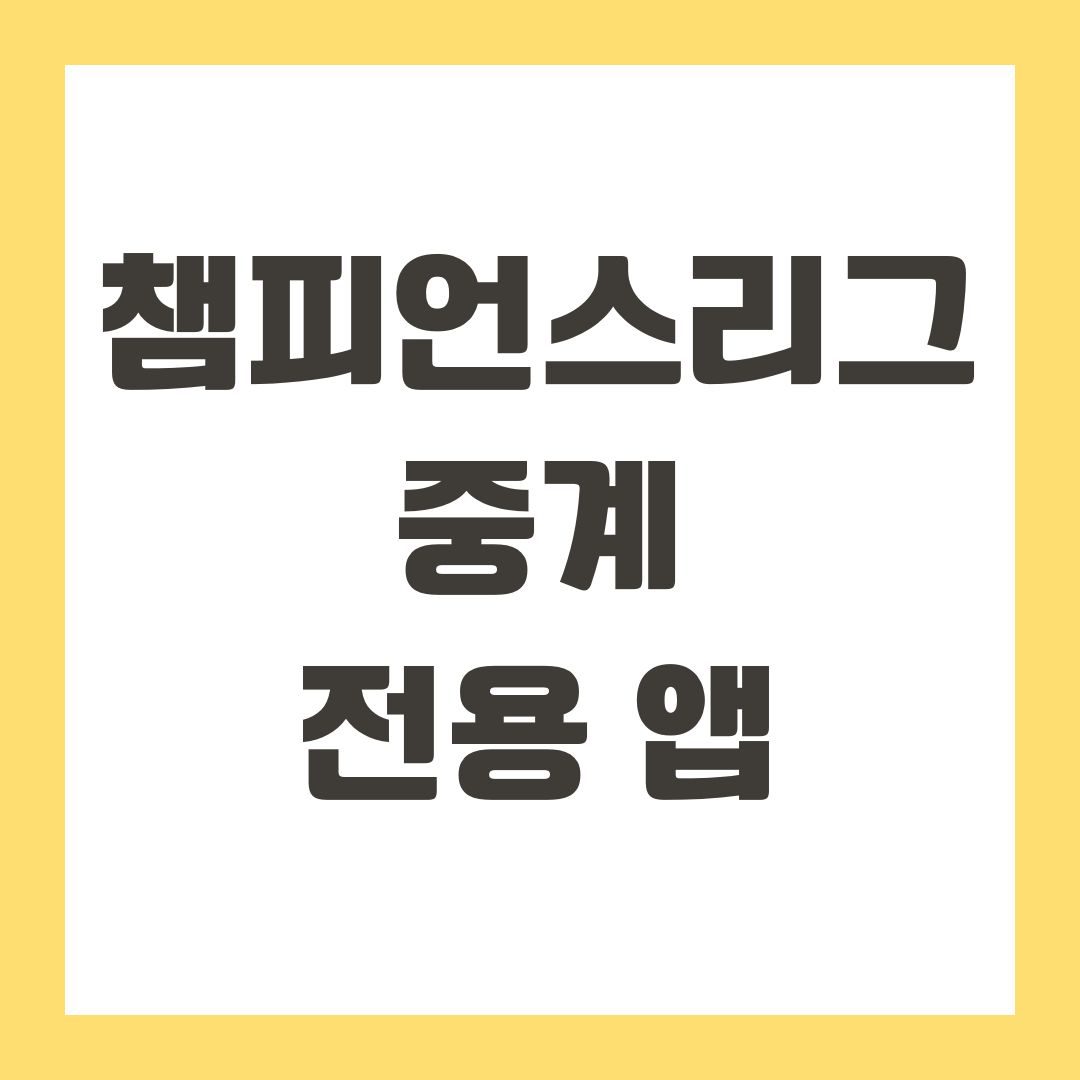 챔피언스리그 중계 전용 앱