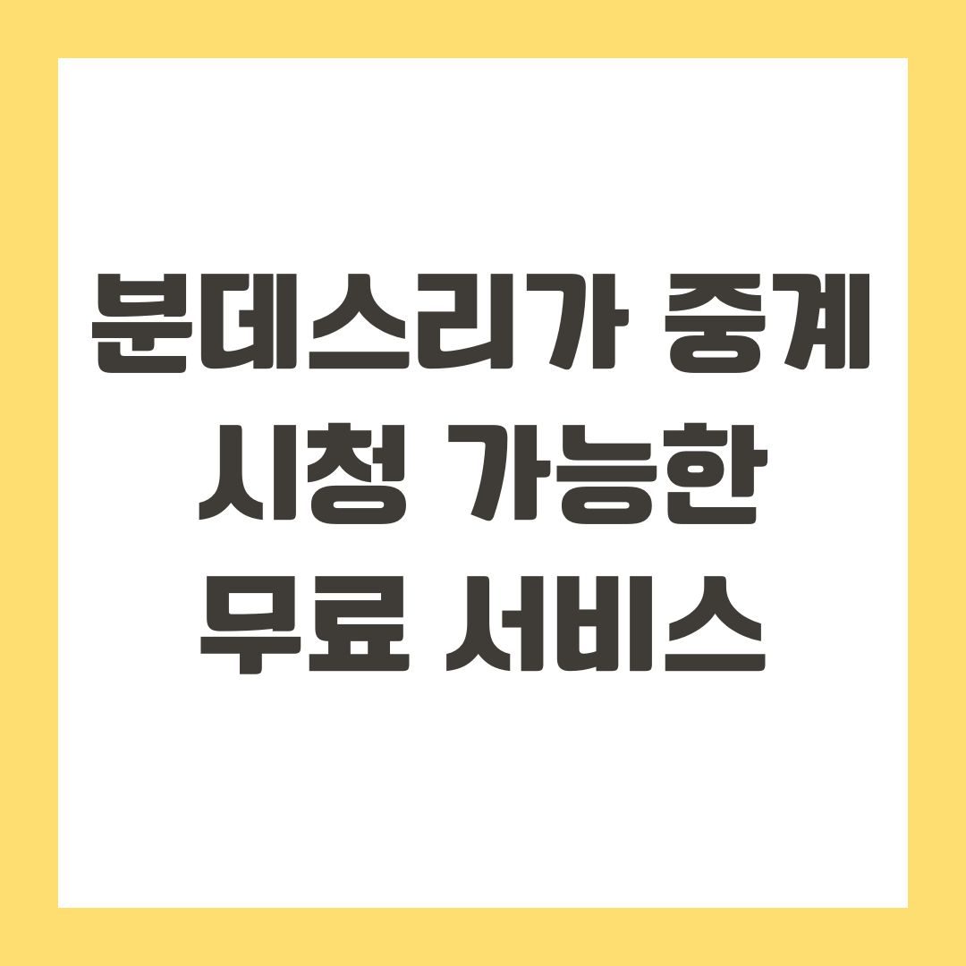 분데스리가 중계 시청 가능한 무료 서비스