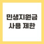 민생지원금 사용 제한