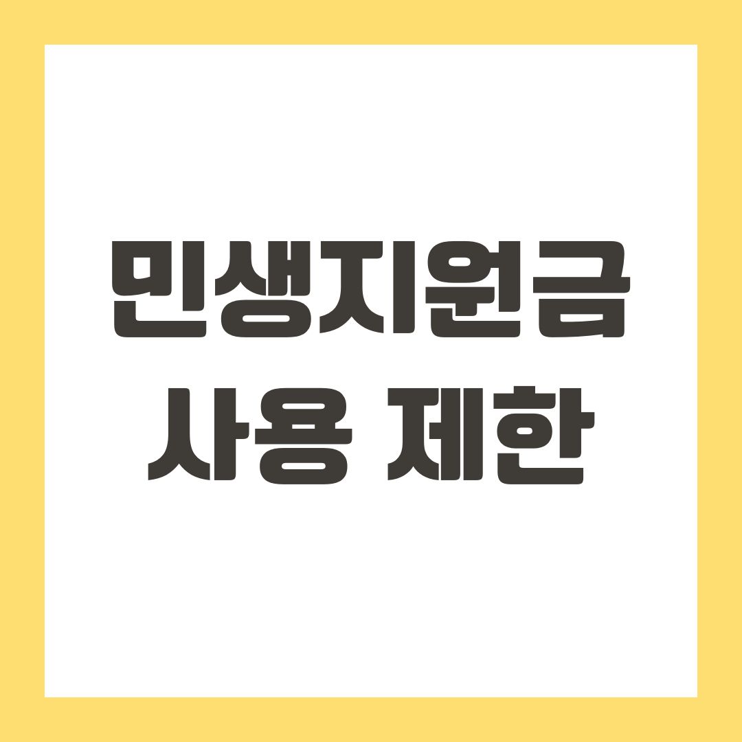 민생지원금 사용 제한