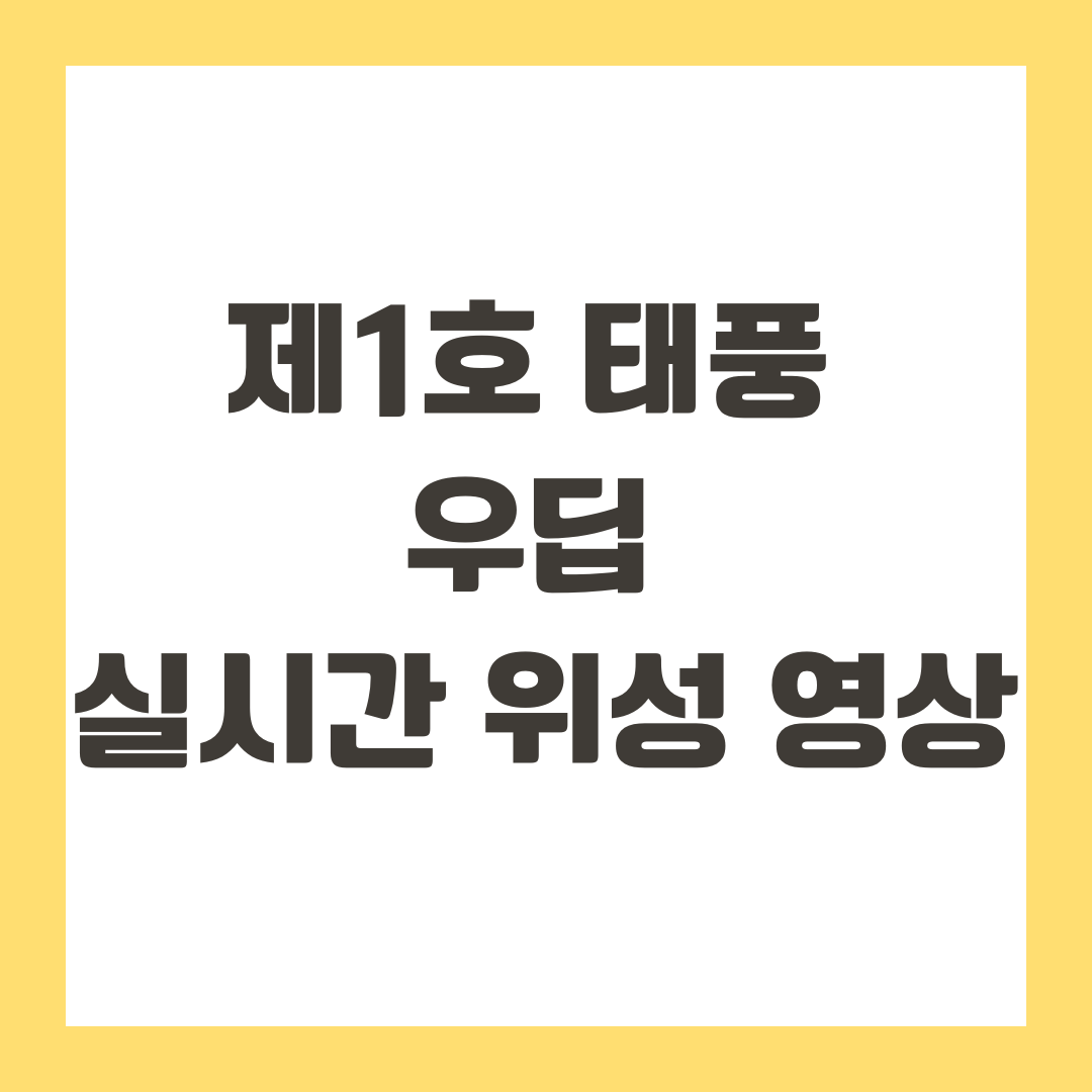 제1호 태풍 우딥 실시간 위성 영상