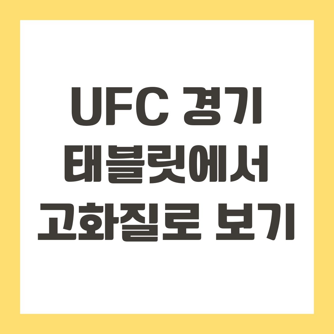UFC 경기 태블릿에서 고화질로 보기