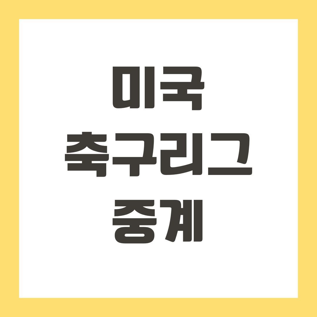 미국 축구리그 중계