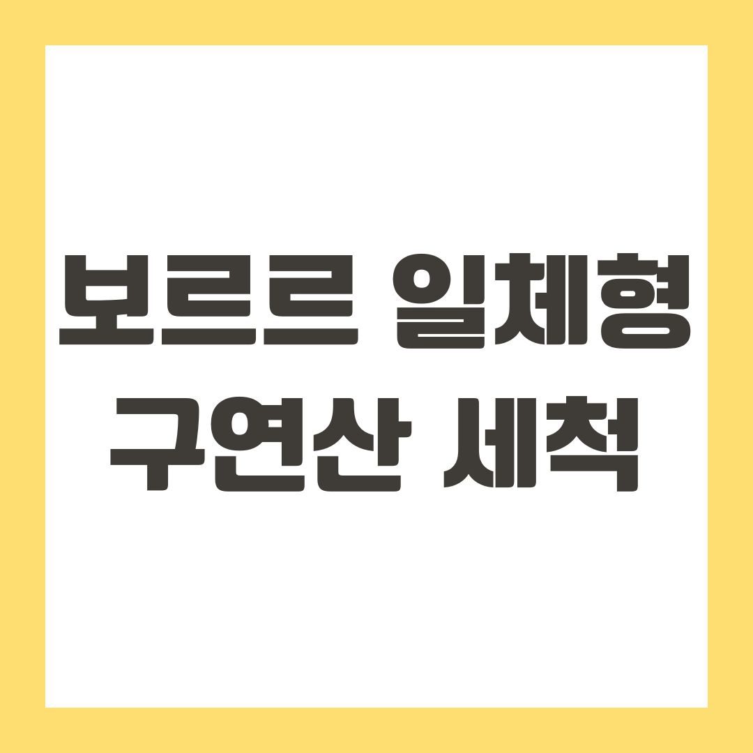 보르르 일체형 구연산 세척